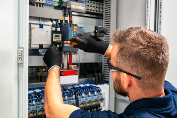 Best Electric Panel Repair  in Fayette, IA
